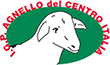 Agnello del Centro Italia IGP