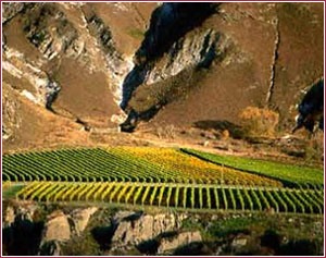 Central Otago
