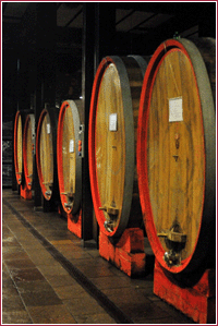 Botti nella cantina di Soldera