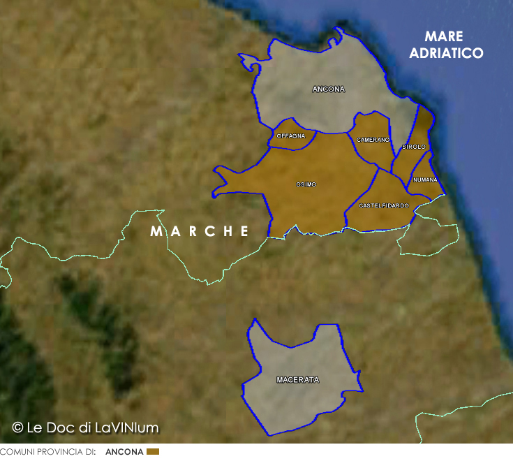 Le DOC delle Marche: Conero
